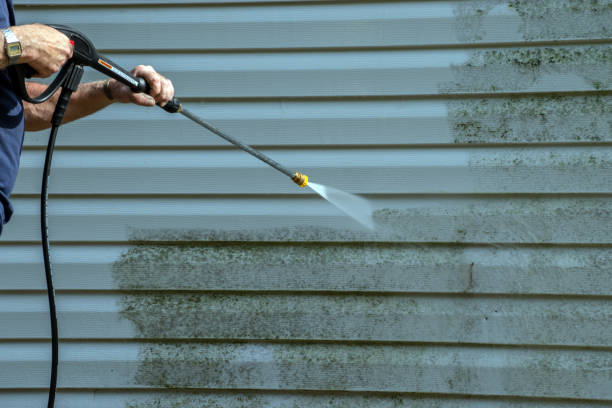 Best Residential Pressure Washing Services  in Assumption, IL