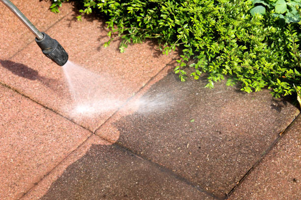 Best House Pressure Washing  in Assumption, IL